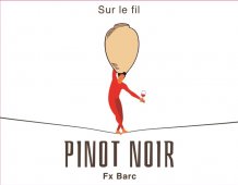 Pinot Noir VDF 2020 Label